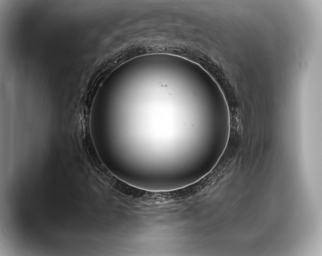 X0000088751493200705311502