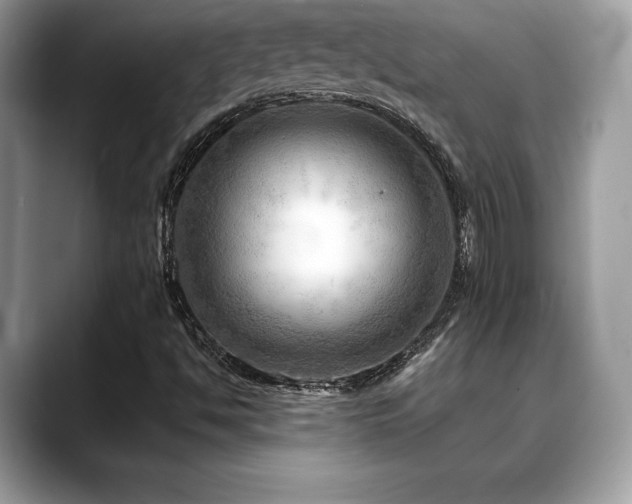X0000088751494200705311502
