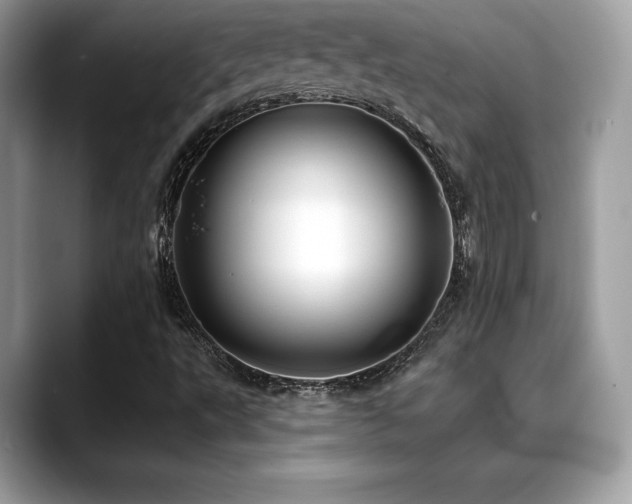 X0000088751495200705311502