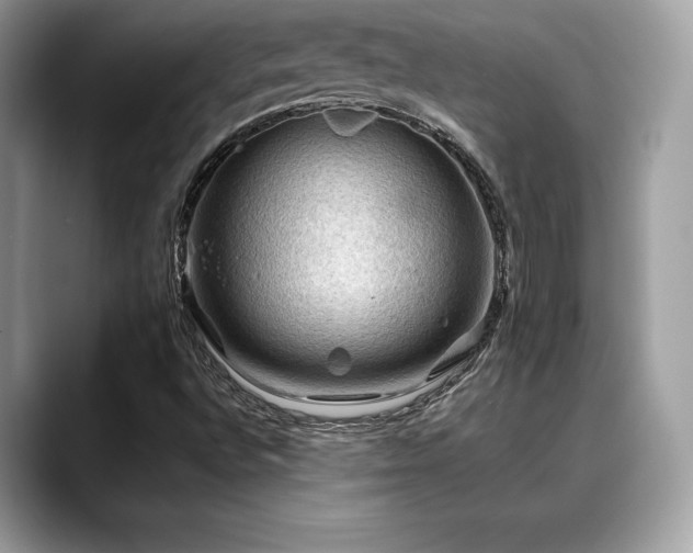 X0000088751496200705311502