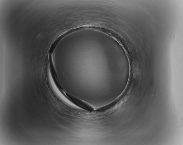 X0000088751497200705311502