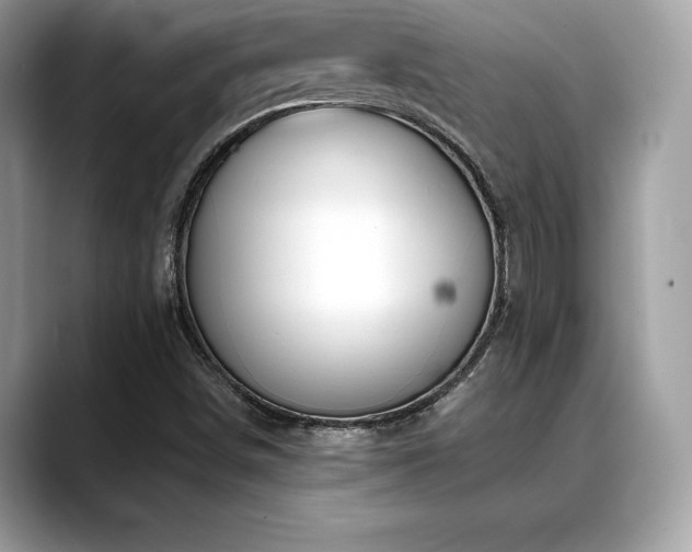 X0000088751498200705311502