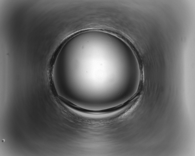 X0000088751501200705311502