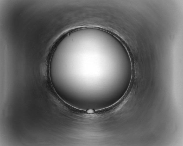 X0000088751502200705311502