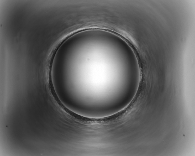 X0000088751504200705311502