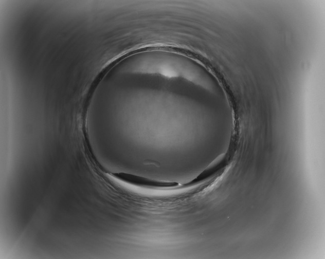 X0000088751505200705311502