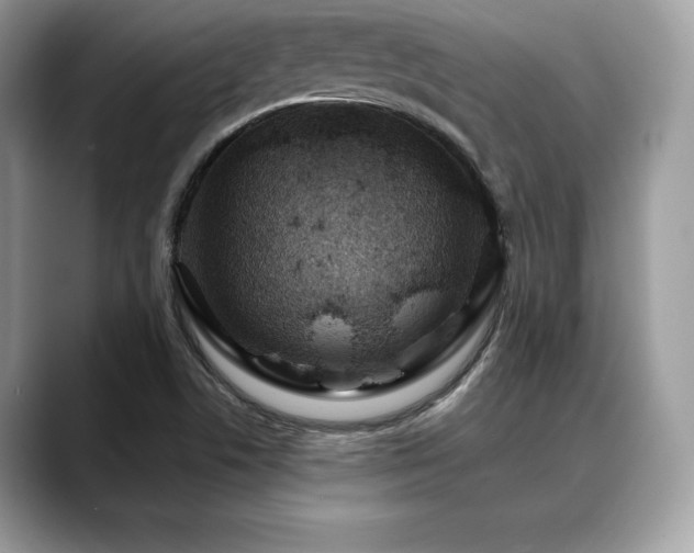 X0000088751506200705311502