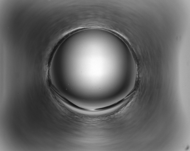 X0000088751507200705311502