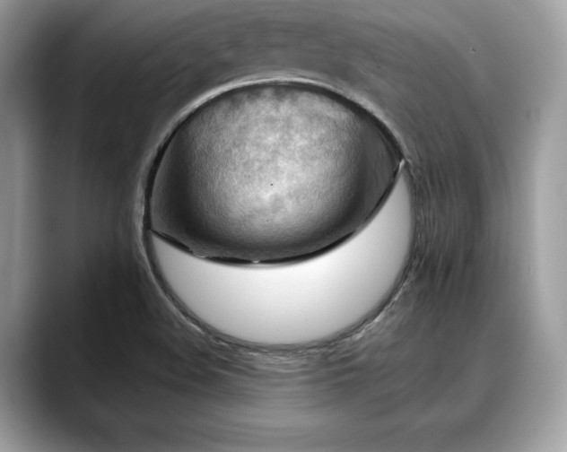 X0000088751508200705311502