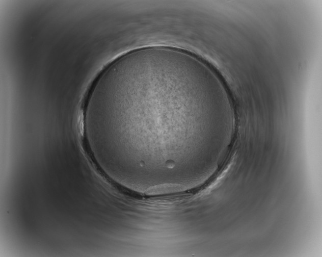X0000088751509200705311502