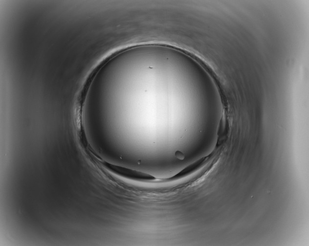 X0000088751510200705311502