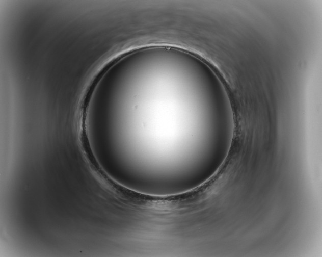 X0000088751511200705311502