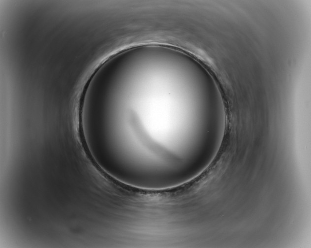 X0000088751512200705311502