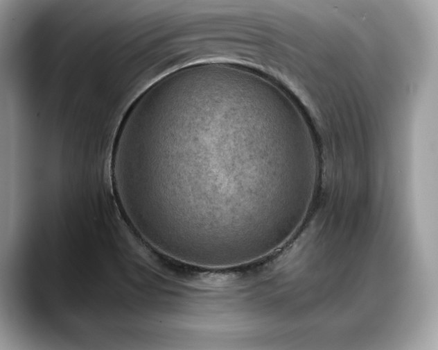 X0000088751513200705311502