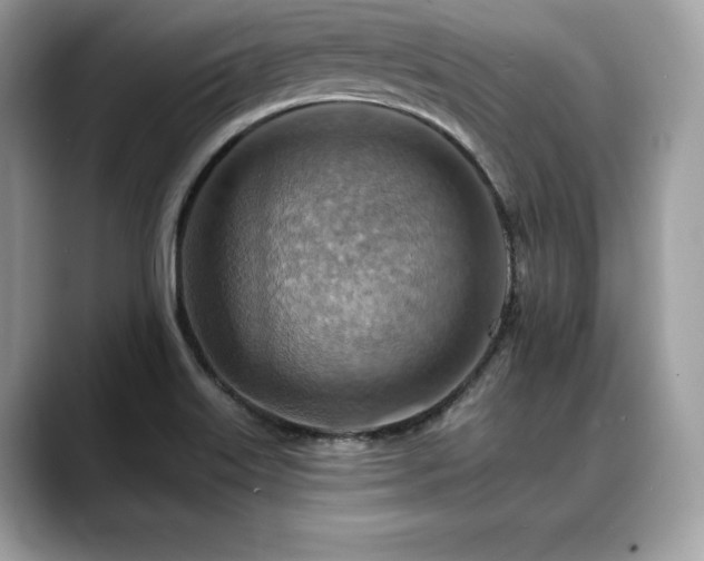 X0000088751515200705311502