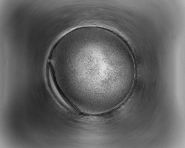 X0000088751517200705311502