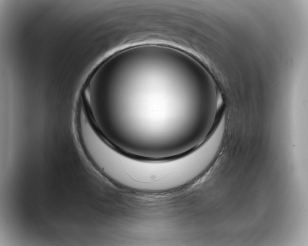 X0000088751518200705311502
