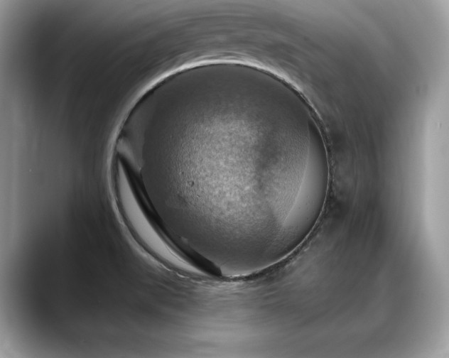 X0000088751519200705311502