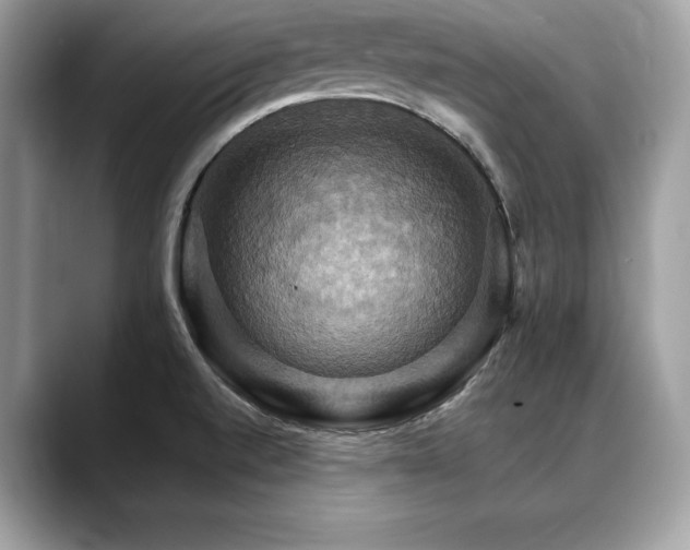 X0000088751520200705311502