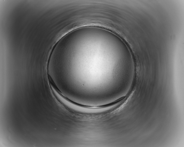 X0000088751521200705311502
