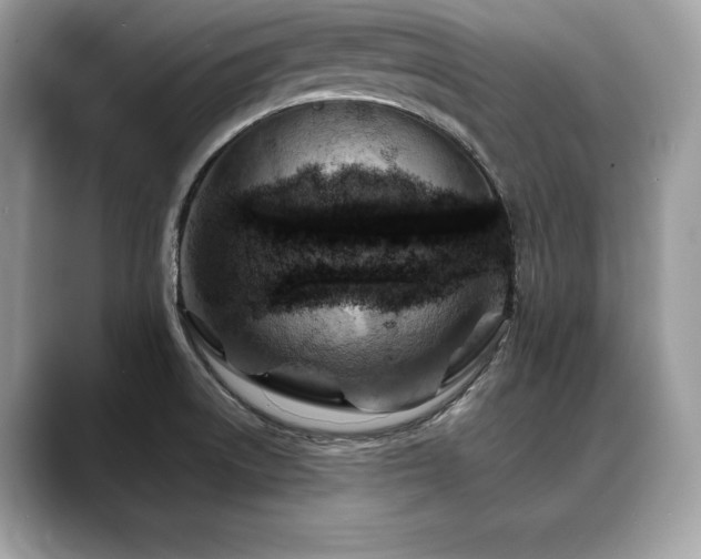 X0000088751522200705311502