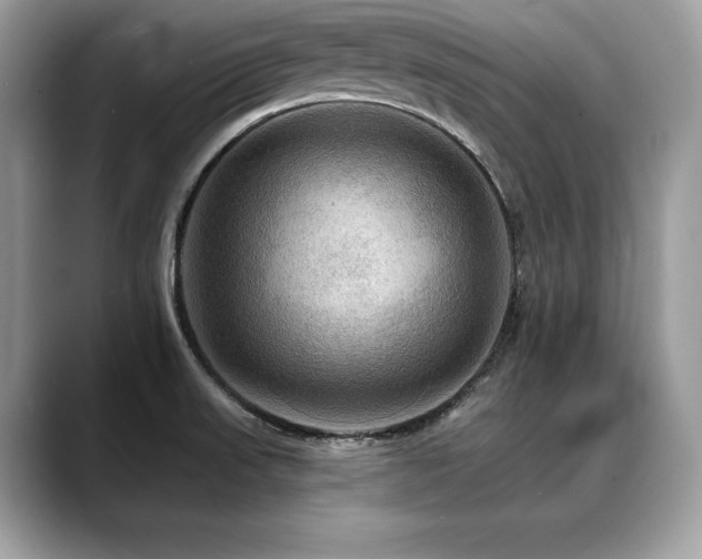 X0000088751523200705311503