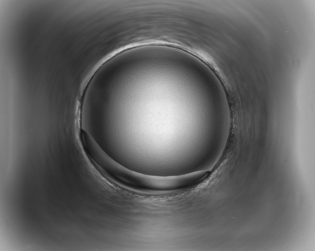 X0000088751524200705311503