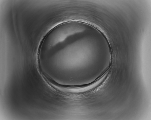 X0000088751525200705311503