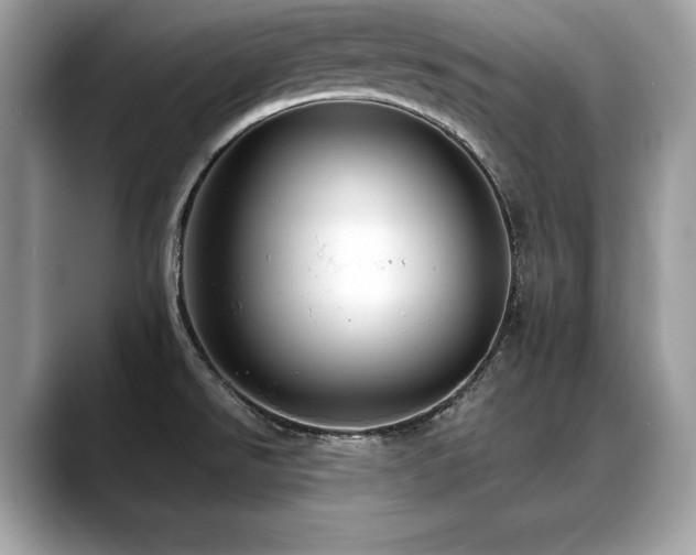 X0000088751526200705311503