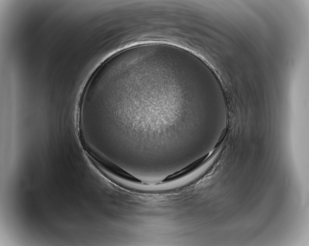X0000088751527200705311503