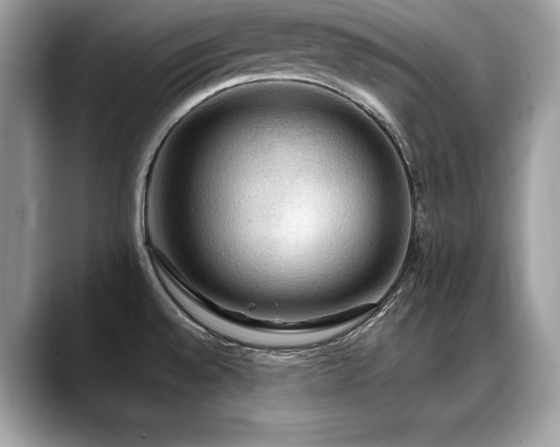 X0000088751528200705311503