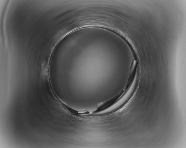 X0000088751529200705311503