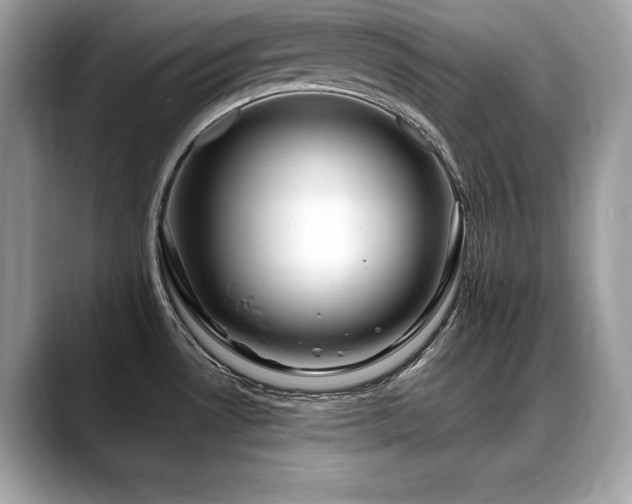 X0000088751530200705311503