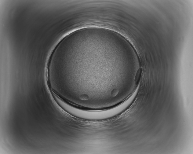 X0000088751531200705311503