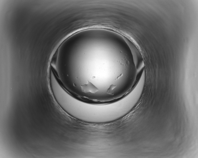 X0000088751532200705311503