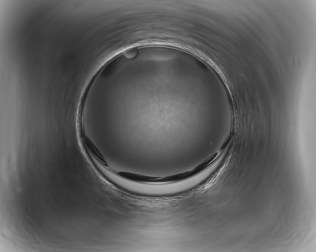 X0000088751533200705311503