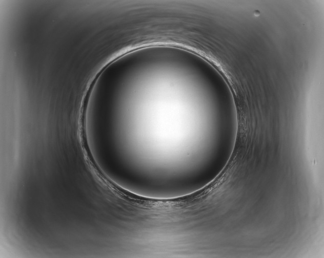 X0000088751534200705311503