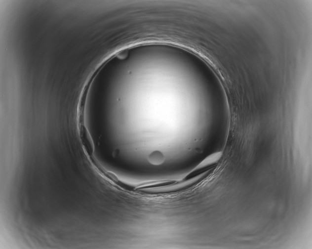 X0000088751535200705311503