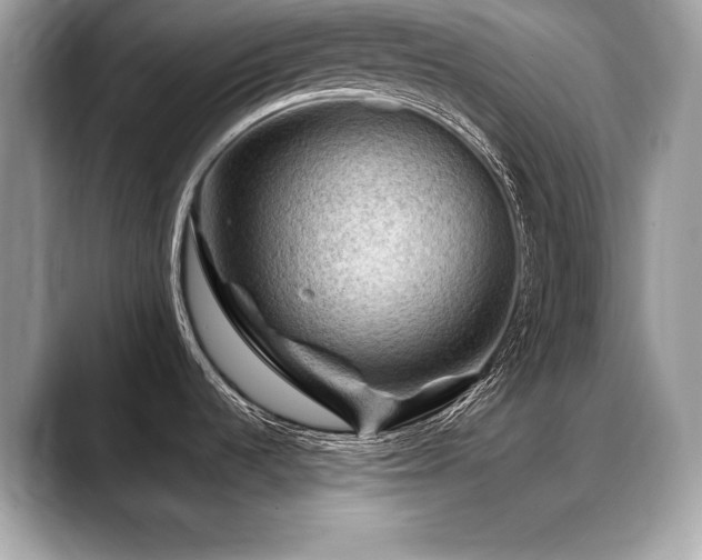 X0000088751536200705311503