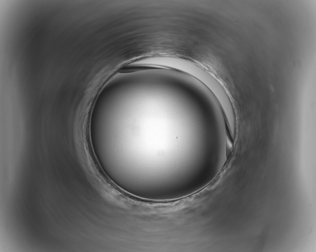 X0000088750001200706071729