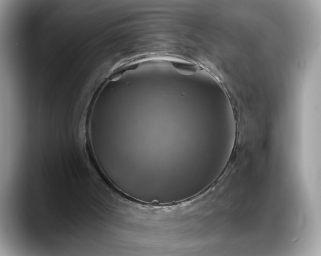 X0000088750002200706071729