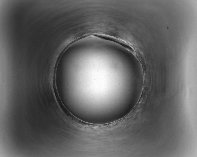 X0000088750003200706071729