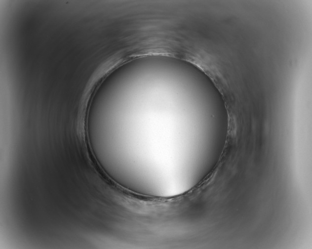 X0000088750004200706071729