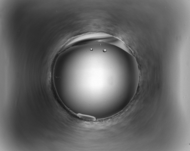 X0000088750005200706071729