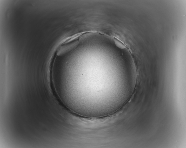 X0000088750006200706071729