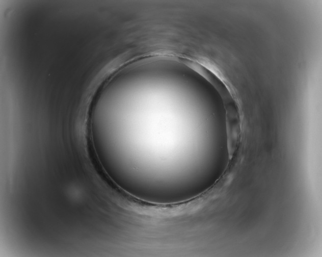X0000088750007200706071729