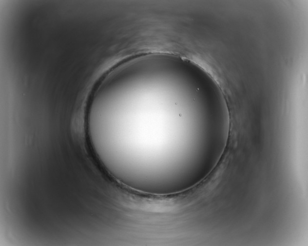 X0000088750008200706071729