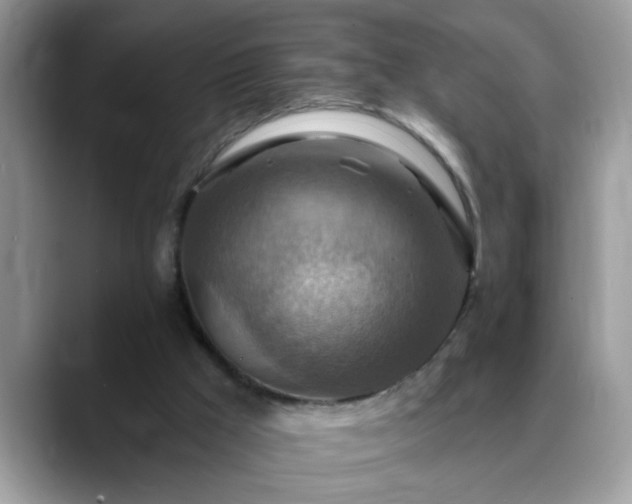 X0000088750009200706071729