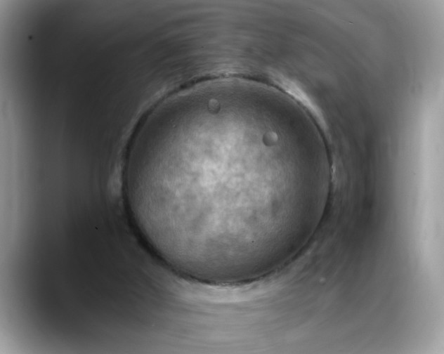 X0000088750010200706071729