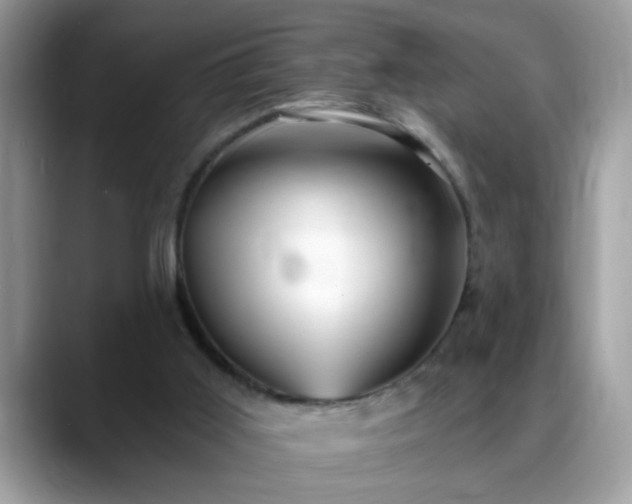 X0000088750011200706071729